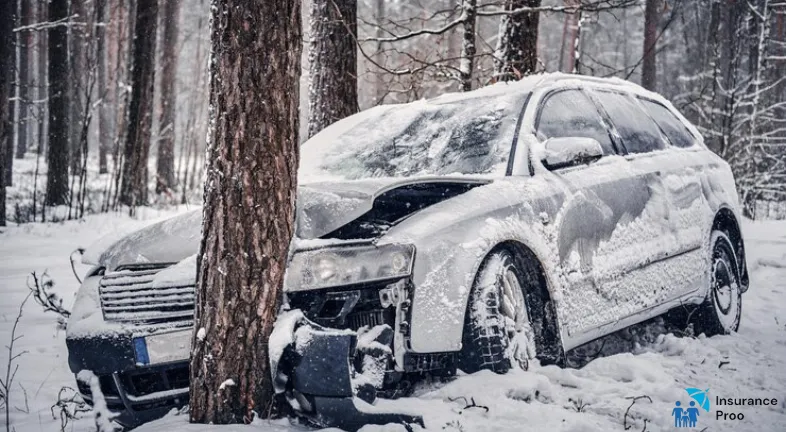 DOES CAR INSURANCE COVER SNOW DAMAGE-