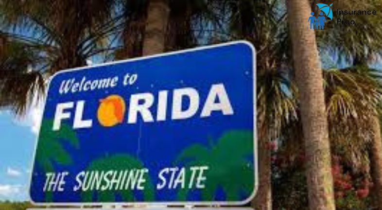 Florida Blue Connect: The Marketplace of the Sunshine State