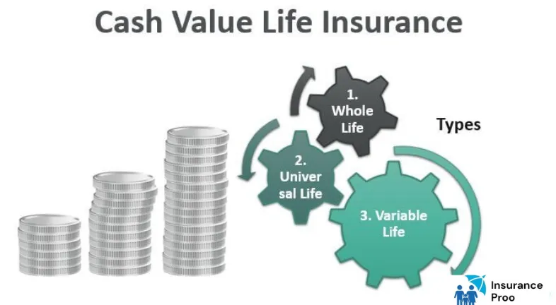 Types of Life Insurance with cash values